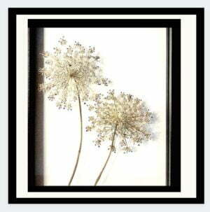 liefde en leed ingelijst blad, ingelijste bloemen
