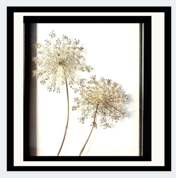 liefde en leed ingelijst blad, ingelijste bloemen