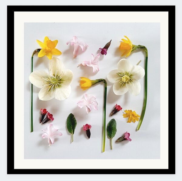 gedroogde bloemen, liefde en leed, duurzame woondecoratie, ingelijste bloemen.