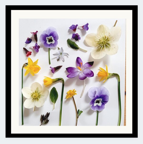 gedroogde bloemen, liefde en leed, duurzame woondecoratie, ingelijste bloemen.
