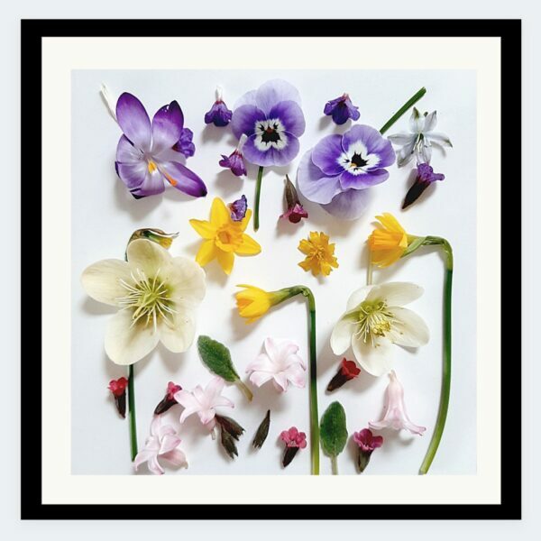 gedroogde bloemen, liefde en leed, duurzame woondecoratie, ingelijste bloemen.